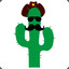 Cowboy Cacti