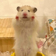 扭捏的蜜桃臀女孩