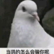 Pigeonnn