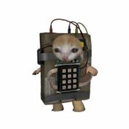 Spocony Kotek PLAYER