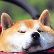 有内鬼终止匹配