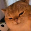 MEHEHEHE