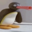 Noot