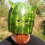 Watermelon Hunter