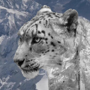 风知道，你不知道