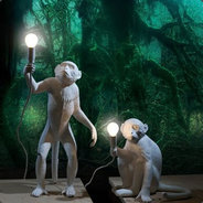 Monkeys with light