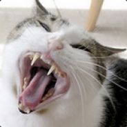 massiveoni - steam id 76561197968241299