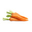 BabyCarrot