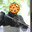 Cookie