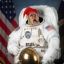 Nisse Astronaut