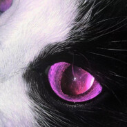 女权环保素食主义重度