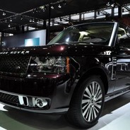 酒红色的打底裤