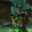 Dreadlord