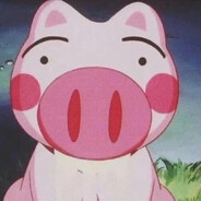 晴天老猪