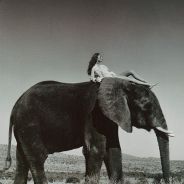 girl on the elephant