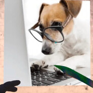 Уолгун Пасмотри