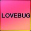 lovebug