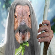 Gandalf Á Capivara