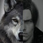 A_BirdOfPrey