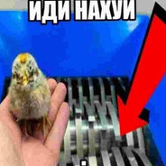 эчконт/шма bomb gay