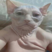 crysouled avatar