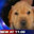 free giveaway link in bio's Avatar
