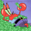 $_$.Mr.Crab.$_$