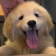 80老头杵拐猛蓄