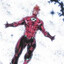 THE FLASH: WALLY WEST