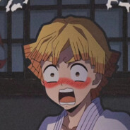 但悲不见九州同