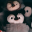我鸟