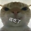 哈库呐 玛塔塔