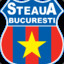 Forta Steaua