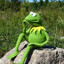 Kermit The Frog