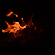 乔·沃德·达基巴