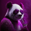 PinkPanda