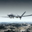 Triopale