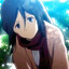 mikasa