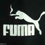 FUMA