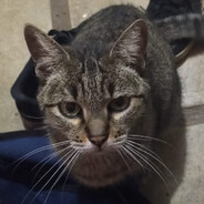 Jhonatan várias situações★