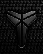 Sh0X - steam id 76561197963219211