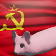 Аватар БОЛЬШОЙТАРАКАН