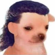 dz1