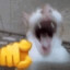 lerppu