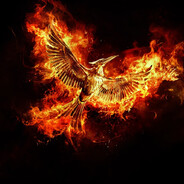 [ʅǝzʇᴉuɥɔS] Phoenix.