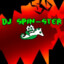 DJ Spin-Ster