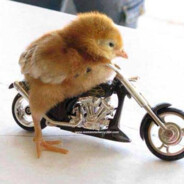 nicklasaxdal - steam id 76561199575998543