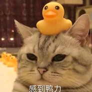 你的心就像牛子，越舔越硬