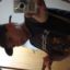 ҐΔCIИG ™ GuTiNhO ;S