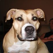 flitty - steam id 76561197963165523